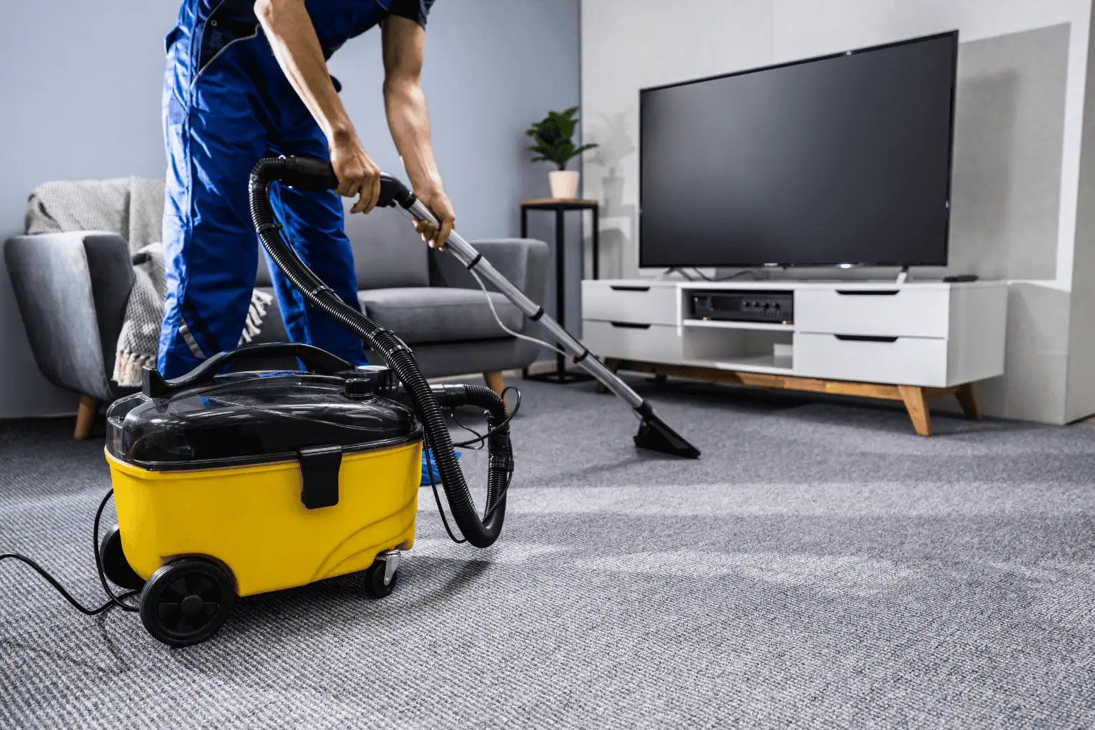 Cleaner vacuuming carpet