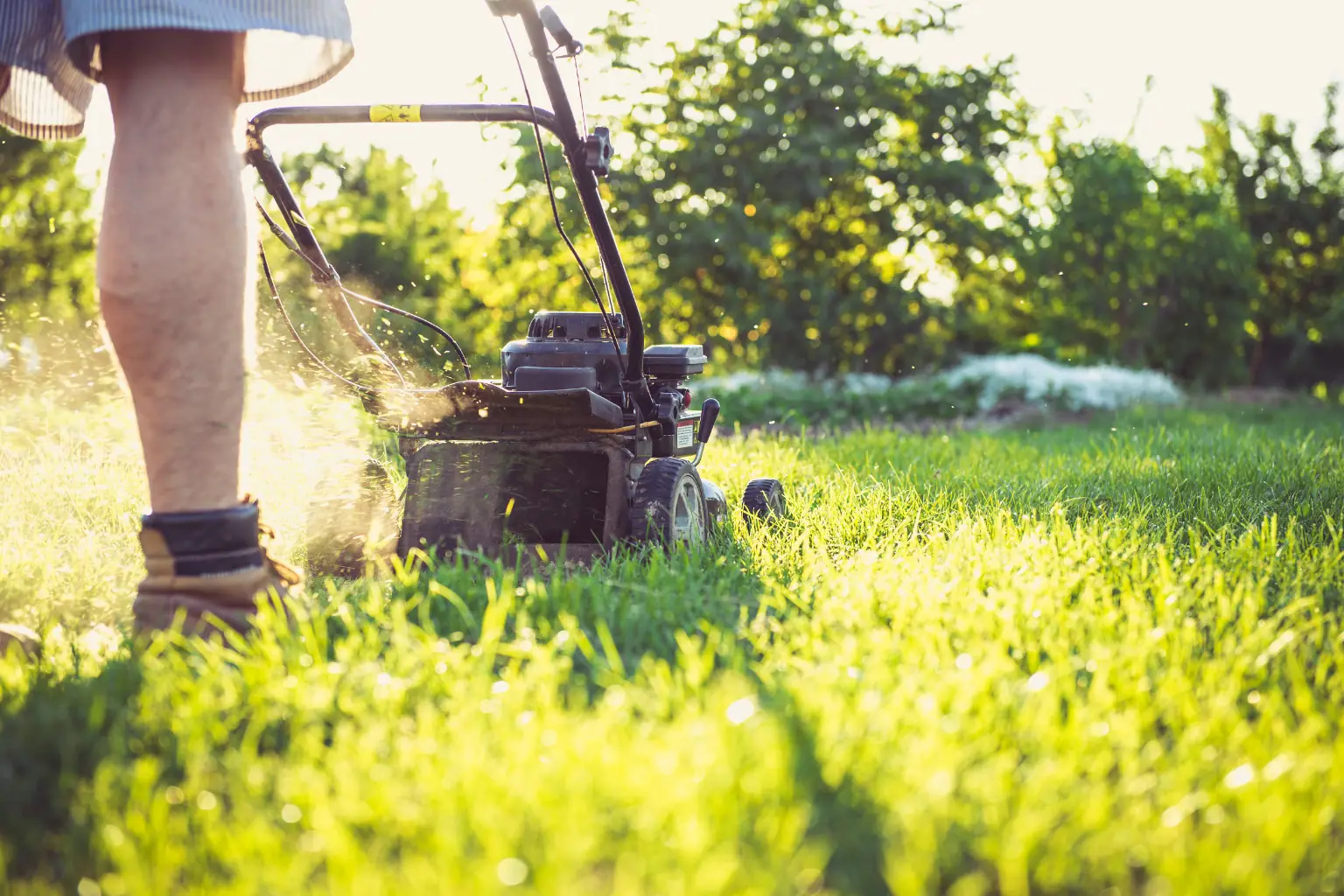 Lawn mowing Support at Home