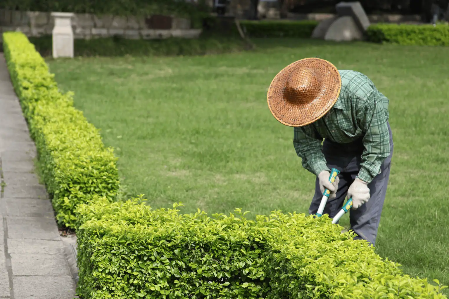 Service provider working on garden